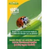 Ecostyle Larven Van Lieveheersbeestje 10 M² -Groen Tuin Verkoopwinkel ecostyle larven van lieveheersbeestje 10 m 1612386830 l
