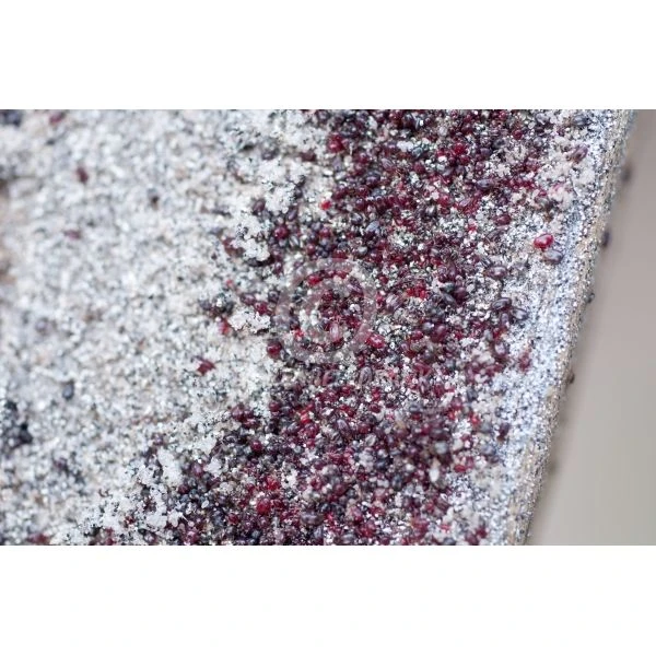 Ecostyle Roofmijt Tegen Bloedluis Bij Gevogelte 5.000 4 Ecostyle Roofmijt Tegen Bloedluis Bij Gevogelte 5.000 - Afbeelding 2