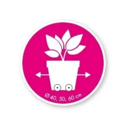 Elho Loft Urban Round Wheels 40 White 9 Elho Loft Urban Round Wheels 40 White -Groen Tuin Verkoopwinkel elho loft urban round wheels 40 white 1519726057 2 l