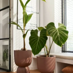 Elho Pure Coupe 35 Rosy Brown -Groen Tuin Verkoopwinkel elho pure coupe 35 rosy brown 683x1024 63bd3a92d360f l