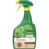 Pokon Bio Schimmel Spray 800 Ml -Groen Tuin Verkoopwinkel pokon bio schimmel spray 800 ml 1024x1024 63da28ba9bda2 l